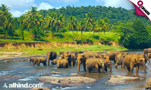 4 Days & 3 Nights Sri Lanka Tour Package!